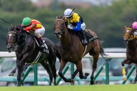 �yM�f�B�[�v�C���p�N�g�z�t���~���O�t�[�v�����؂�V�c�����C���{����3����