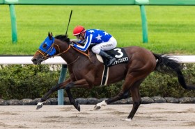 �y���R���ʁz�����C���R�� ���A���C�Y�J�~�I�����f�R�̎x���ɉ�����