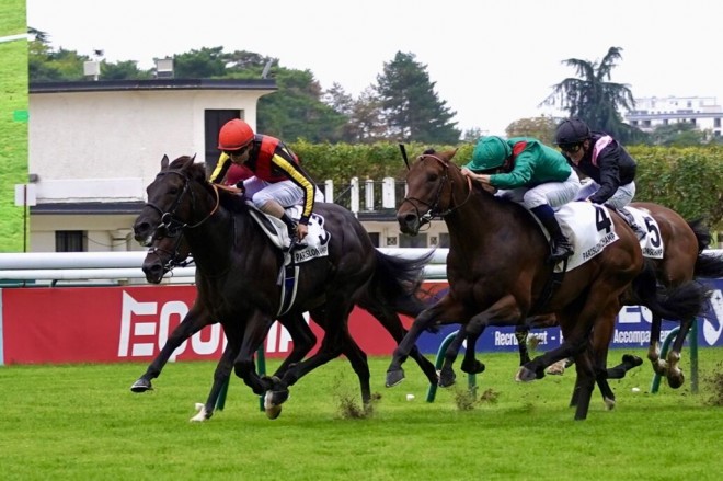 仏プランスドランジュ賞】斉藤師「十分チャンスはある」クロワデュ