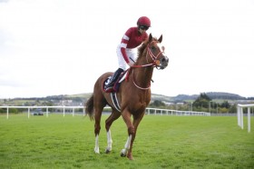 �V���G���y���[�A�M����܉���𔭕\