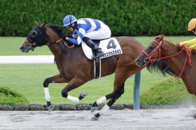 �y�V�n/��_3R�z�^�J�X�^�J�X�^�J�X���f�r���[V�c���{�@�����L�n