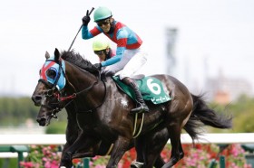 �y��_JS�z�l�r�[�C�[������Q�d�܏����e