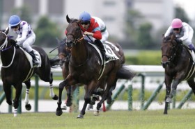 �y�V�n/��_5R�z�O�b�h�s�[�X���f�r���[V�c1�Ԑl�C�J�����b�g��5��