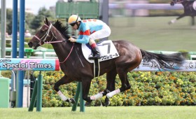 �y�V�n/���R5R�z���C�f�I���Y�� �t�����Z�[�����l�C�ɉ�����