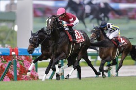 �y�_�ːV���t�z�G���L���O������V�c2���ɃV���E�w�C