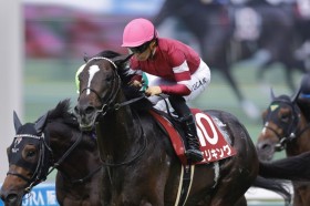 �y�_�ːV���t�z��c�u���������肪�������n�v�G���L���O������V