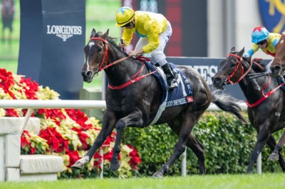 jra競馬スプリンターズS トロットスター優勝パネル jra競馬スプリンターズS トロットスター優勝パネル スプリンターズ