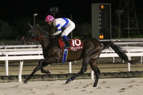 �y���c�`�������WC�z�����Ŗ��������r�A�n���ŉԊJ���c�������c�H���d�܏����e