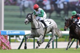 �y�V�n/��_4R�z�L�Y�i�Y�� �z���C�g�I�[�L�b�h���f�r���[V