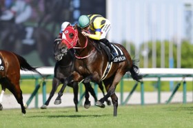 �y���ږxS�z�ǌ��V���^�[�����B���g���N�₩�ȍ����؂�V