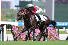 �y�V�n/��_5R�z�R���g���C���Y�� �t���[�K�[���f�r���[V�c3���~�z�[�X�̃C�G�b�T�[�͍ŉ���