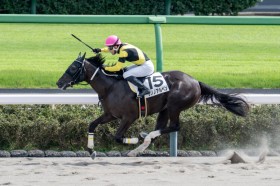 �y�V�n/���R4R�z�V�����n�C�{�r�[�Y�� �T�m�m�A���y�����f�r���[V