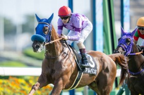 �y�T�t�����܁z�A���o���k��2�A���c�h���[���R�A��3��