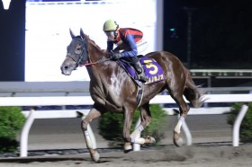 �y���m�E�X�芥�܁z�����m�z�m�I������4�n�g��V�I�d��10����