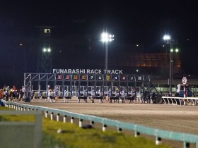 �y�}���[��C�z�D�������v���E�h�t���[�����N�₩�ȓ����؂�c�������A�J�t�F��2��