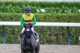 �y���s12R�z���Lvs�������ނ̑匃��c���L�q���m�n���u���N�������Ԃ���V