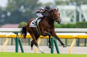 �y�V�n/����5R�z�T���O���[�U�[�Y�� �J�����g�D���[�V�[���f�r���[V