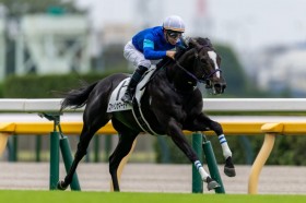 �y�V�n/����3R�z�t�@�C���j�[�h���Y�� �t�@�C���T�}�[�f�C���f�r���[V