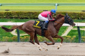 �y�O���[���`�����l��C�z�I���K�M�l�X�������[�X2���ځc�����ɓ˂�������