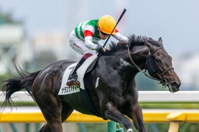 【期限切れ単勝馬券】　サラ系2歳新馬　デュランダル　ウマ娘 期限切れ単勝馬券】 サラ系2歳新馬 デュランダル ウマ娘