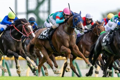 tvk賞】1000万馬券飛び出す！大波乱の決着、単勝16番人気ジュドーがV