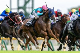 �ytvk�܁z1000���n����яo���I��g���̌����A�P��16�Ԑl�C�W���h�[��V