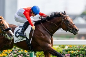 �y�V�n/����5R�z�R���g���C���Y�� �S�[�C���g�D�X�J�C���f�r���[V