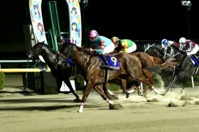 �y�����u�z���}�j���`�F���L��6�g12�Ԃ�