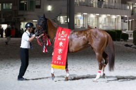 �y�����u�z������15�������őO�N��93.5���c���}�j���`�F���L��V