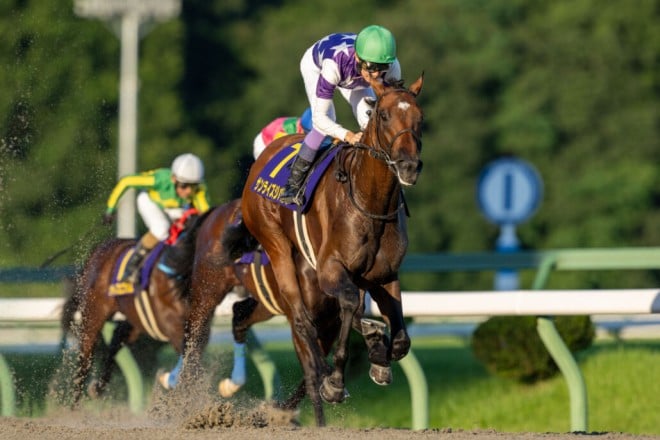 武豊騎手 今週の騎乗馬、盛岡・南部杯に参戦…サンライズジパング