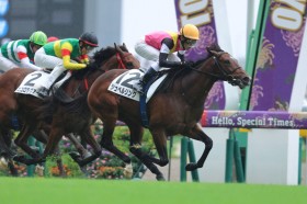 �y�V�n/����5R�z�V�X�L���Y�� �V���y�������O���f�r���[V