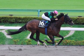 �y�����R���ʁz�f�R�l�C�V�����p���|�b�v������