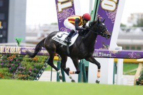 �y����2R�z�f�R�l�C�R�Y�~�b�N�{�b�N�X������