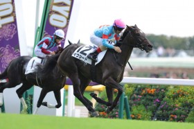 �y�V�n/����5R�z�C�N�C�m�b�N�X�S�� �C�N�V�[�h���f�r���[V