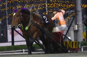 �y�΂񂦂��E�i�i�J�}�h�܁z�z�N�Z�C�C���L���}���퐧���I�ʐ^����̖��ɏd�܏�V