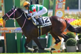 �y�V�n/���s6R�z���V�X�e���V�A���� �o���Z�V�[�g���f�r���[V