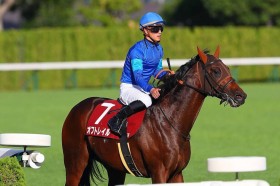 �y�X����S�z�������u�����̗\��Ƃ͈�������[�X�ɂȂ�c�v�I�t�g���C�������R�[�hV