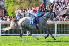 �y���R�[�t�B�[���h�J�b�v�z���{�n�S�[���f���X�i�b�v��14���c�������R��J.�����n���R��A�n�[�t���A�[�Y��V