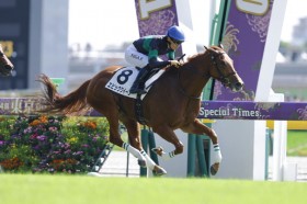 �y�V�n/����4R�z�G�s�t�@�l�C�A�Y�� �G�s�b�N�N�C�[�����f�r���[V