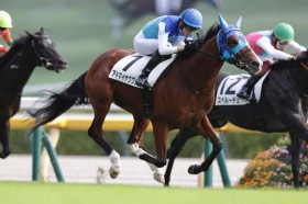 �y�V�n/����5R�z���A���X�e�B�[���Y�� �A�h�}�C���N���b�Y���f�r���[V