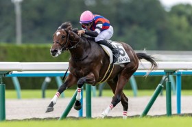 �y�V�n/���s4R�z�t�@�C���j�[�h���Y�� �~���g�x�X�g���f�r���[V