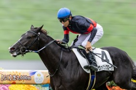 �y�V�n/���s5R�z�R���g���C���Y�� ���@�����u���[�T���f�r���[V