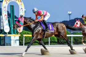 �y����I�[�^���X�v�����g�z��c���l���e�C�G���t�H���e�����X�����o��V