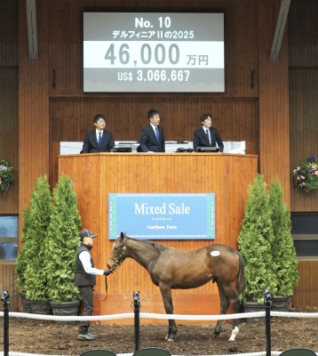 ミックスセール2025】吉田俊介氏「競馬カレンダーの中に定着してきた