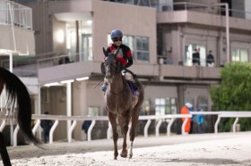 �y���E�}�C���O�����v���z�S�[���h���K�V�[���d��V�c����͑O�N��98.4��