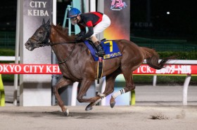 �y���E�}�C���O�����v���z�����S�[���h���K�V�[���d��V�c���M�V�R��A��S�̋R��ŏ����ɓ���