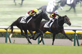 �y�V�n/����5R�z�E�b�v�w���[�A����𐧂���c�T���f�[�T���u���b�h�̃����c�[