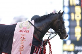 WIN5��125���~���̕��߂��c�A���e�~�XS�̓t�B���X�e�t�@�j��V