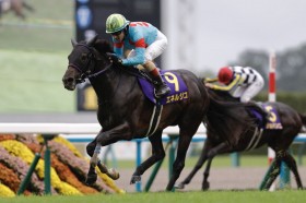 �y�e�ԏ܁z�G�l���W�R�N�₩�ȍ����؂��G1�����e�c�����[���R��͋e3�A�e