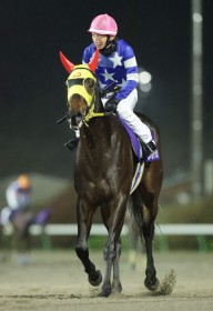 �y�����E�v�����Z�XC�z�g���b�v�X4�n�g���̑N�₩�ȓ����؂�